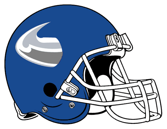 Buffalo Bulls 2001-2005 Helmet Logo diy fabric transfer